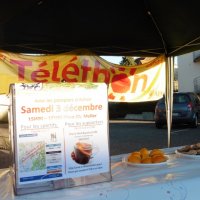 2016-12-03 Telethon (125)